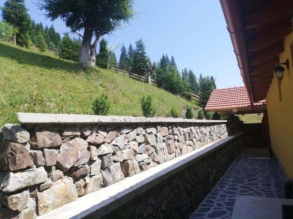 فيلا Casa Anghel Bilbor المظهر الخارجي الصورة