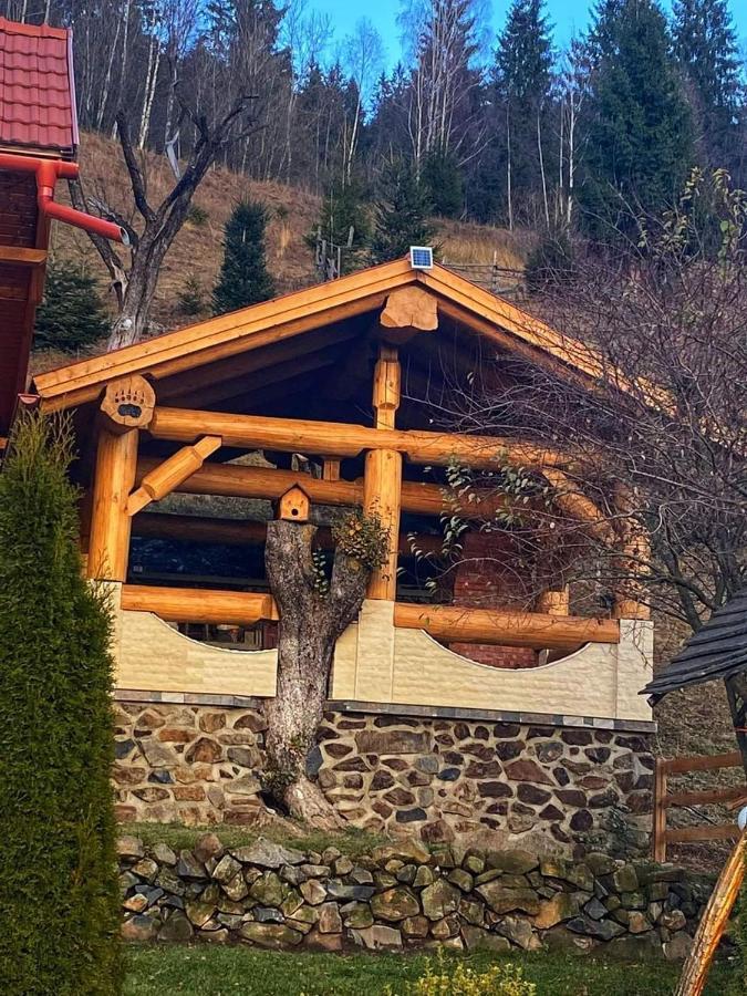 فيلا Casa Anghel Bilbor المظهر الخارجي الصورة