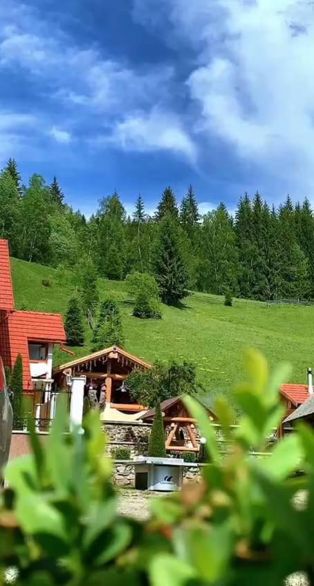 فيلا Casa Anghel Bilbor المظهر الخارجي الصورة